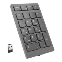 LENOVO 4Y41C33791