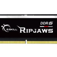 G.SKILL Ripjaws F5-4800S3838A32GX1-RS