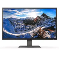 PHILIPS P Line 439P1/00 439P1/00