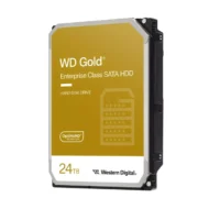WESTERN DIGITAL 3.5" WD242KRYZ