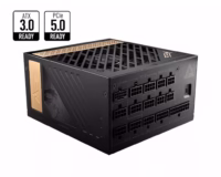 MSI MEGAI1300PPCIE5