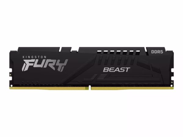 KINGSTON Fury Beast KF556C36BBE-32