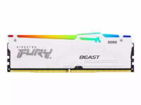 KINGSTON Fury Beast KF560C36BWEA-32