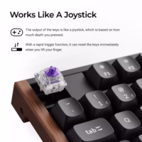 Belaidė klaviatūra Keychron K10 HE Special Edition, juoda thumbnail 4