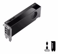 Graphics Card|PNY|NVIDIA|RTX PRO 4000|24 GB|GDDR7|192 bit|PCI Express x8 5.0|Active|VCNRTXPRO4000LP-PB thumbnail 5