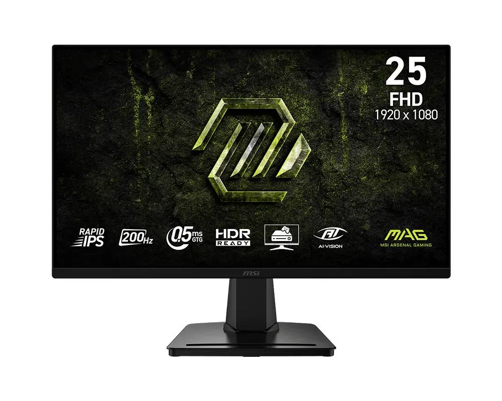 Monitorius MSI MAG 256F E20, 24.5″