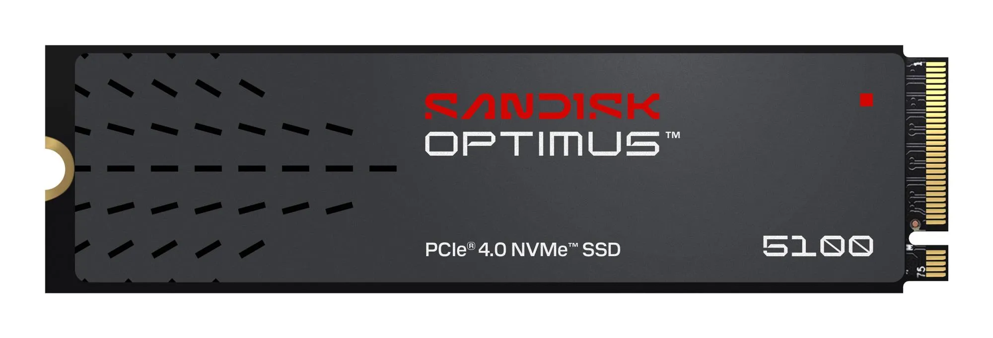 SanDisk 1TB 600xTBW rating NVMe SSD diskas, M.2