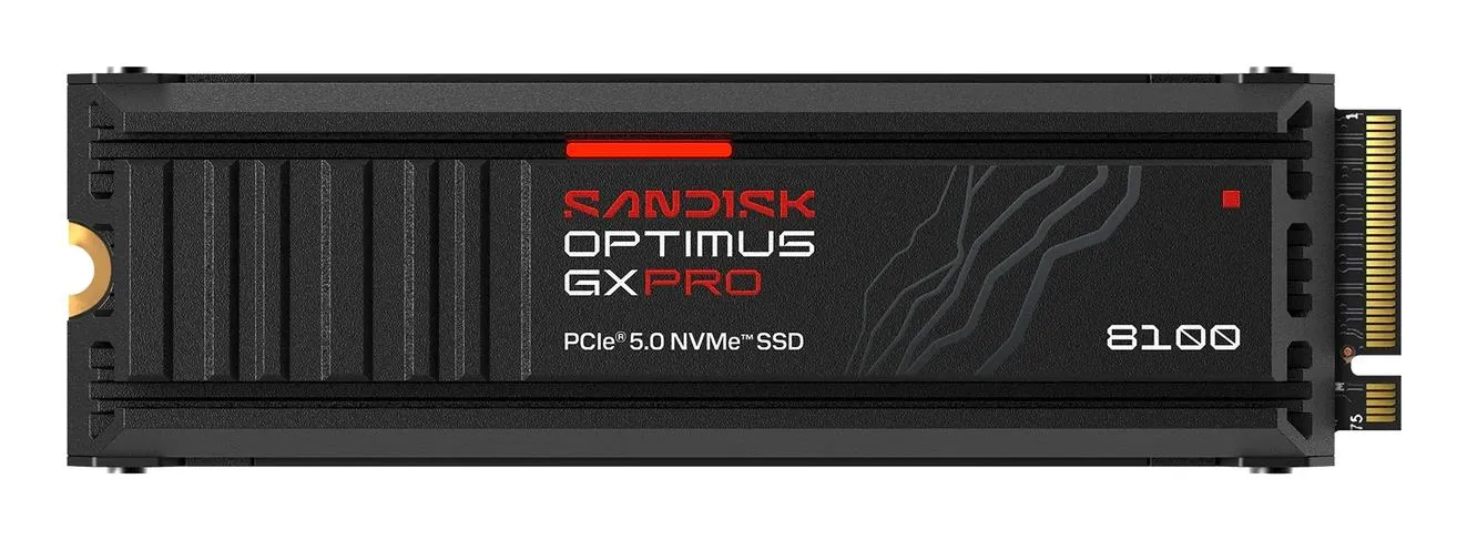 SanDisk 1TB SDSP82100TAH-000E0 NVMe SSD diskas, M.2