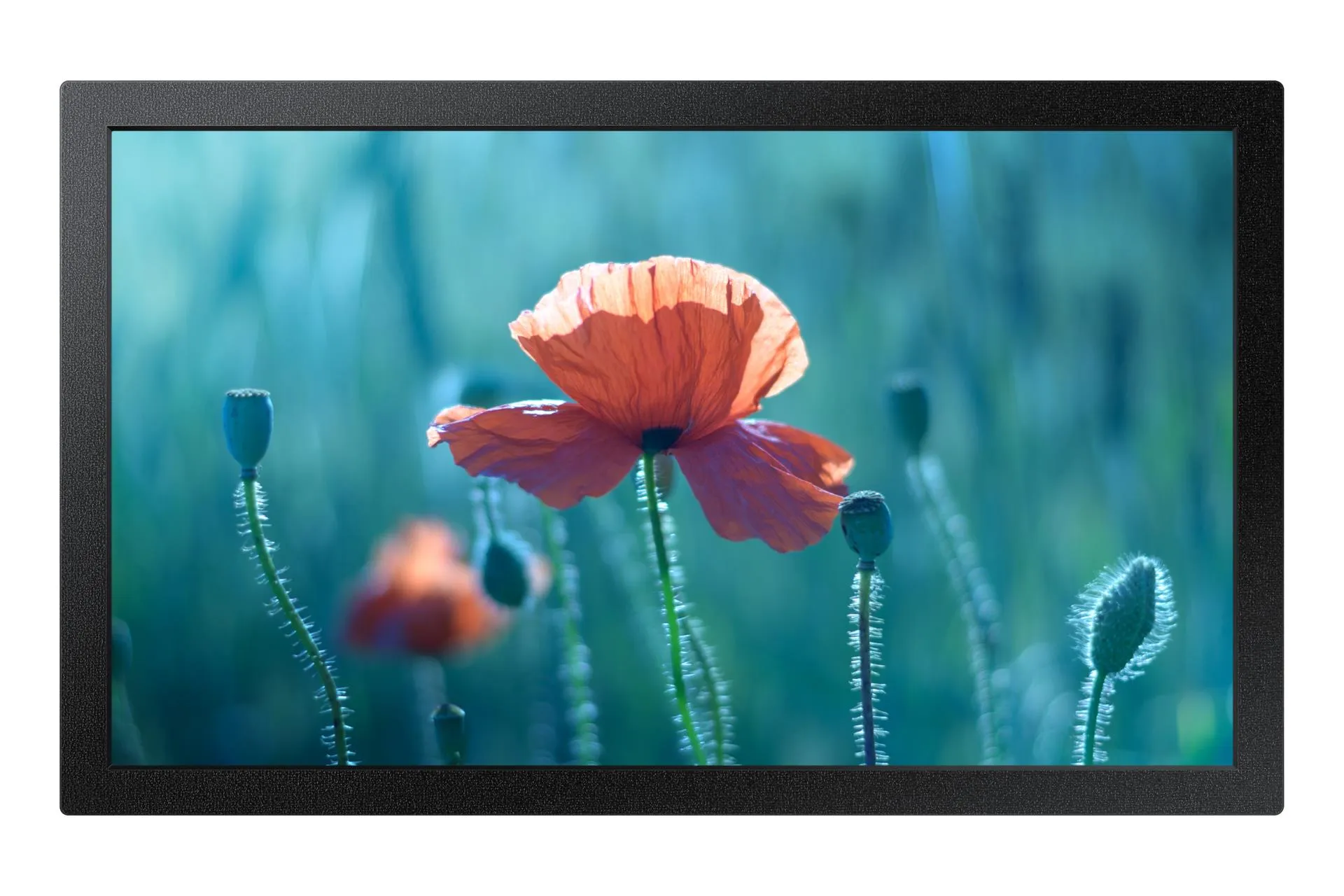 DISPLAY LCD 13″ QB13C/LH13QBCEBGBXEN SAMSUNG